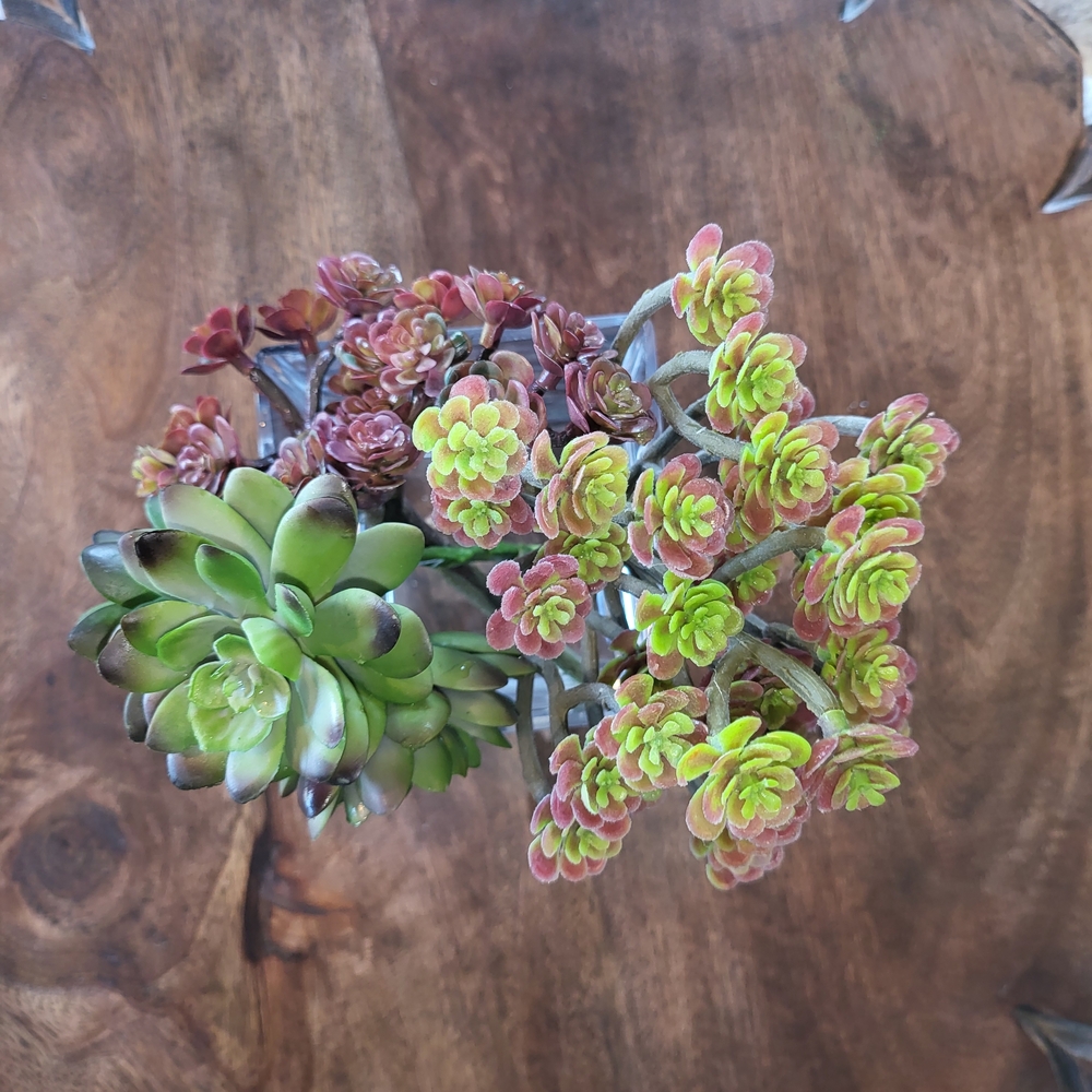 Faux Succulents Plants Set Of 3